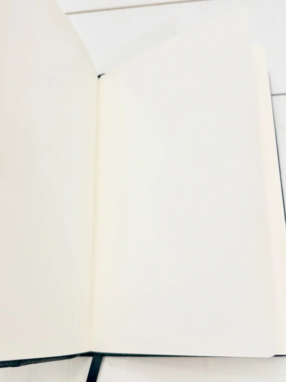 Dior Black Trotter Notebook Journal